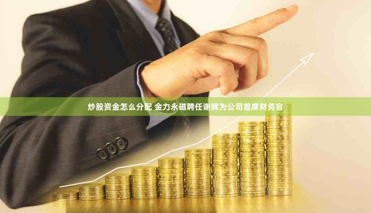 炒股资金怎么分配 金力永磁聘任谢辉为公司首席财务官