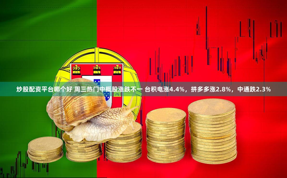炒股配资平台哪个好 周三热门中概股涨跌不一 台积电涨4.4%，拼多多涨2.8%，中通跌2.3%