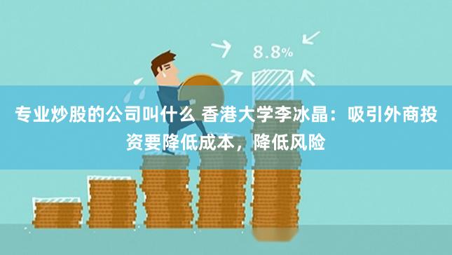 专业炒股的公司叫什么 香港大学李冰晶：吸引外商投资要降低成本，降低风险