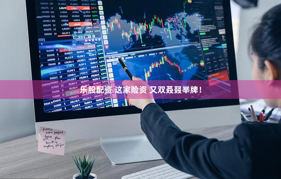 乐股配资 这家险资 又双叒叕举牌！