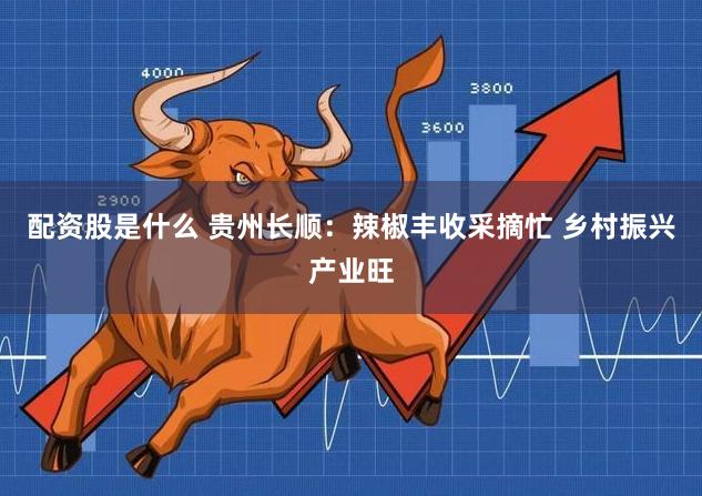 配资股是什么 贵州长顺：辣椒丰收采摘忙 乡村振兴产业旺