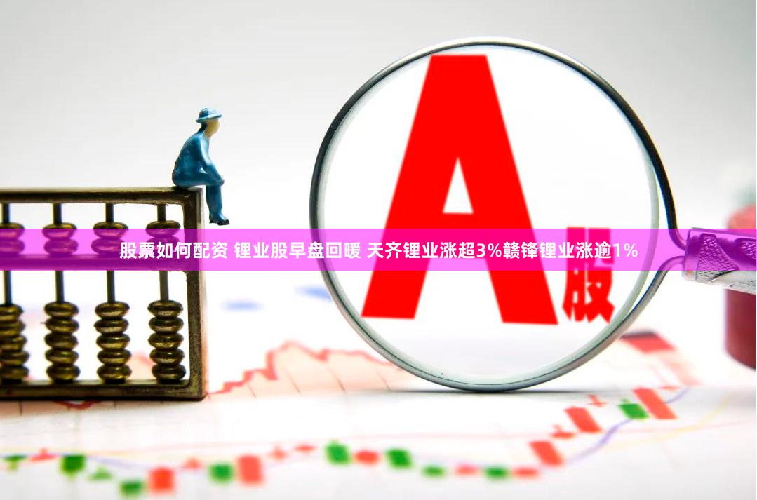 股票如何配资 锂业股早盘回暖 天齐锂业涨超3%赣锋锂业涨逾1%