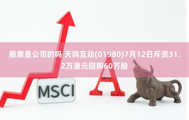 股票是公司的吗 天鸽互动(01980)7月12日斥资31.2万港元回购60万股