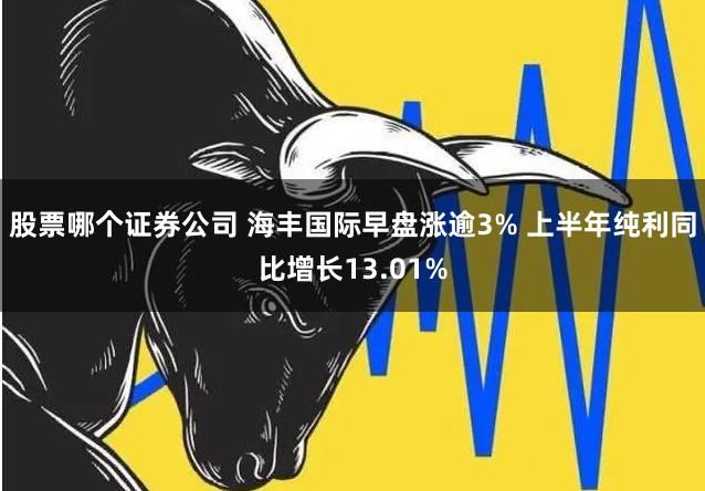 股票哪个证券公司 海丰国际早盘涨逾3% 上半年纯利同比增长13.01%