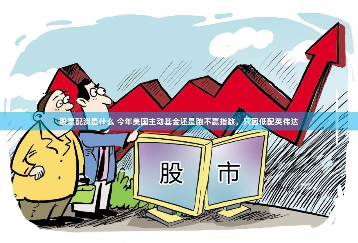 股票配资是什么 今年美国主动基金还是跑不赢指数，只因低配英伟达