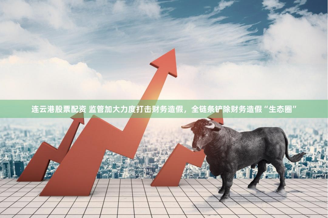 连云港股票配资 监管加大力度打击财务造假，全链条铲除财务造假“生态圈”