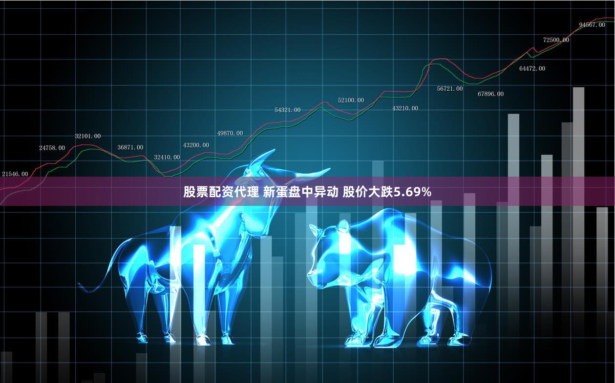 股票配资代理 新蛋盘中异动 股价大跌5.69%