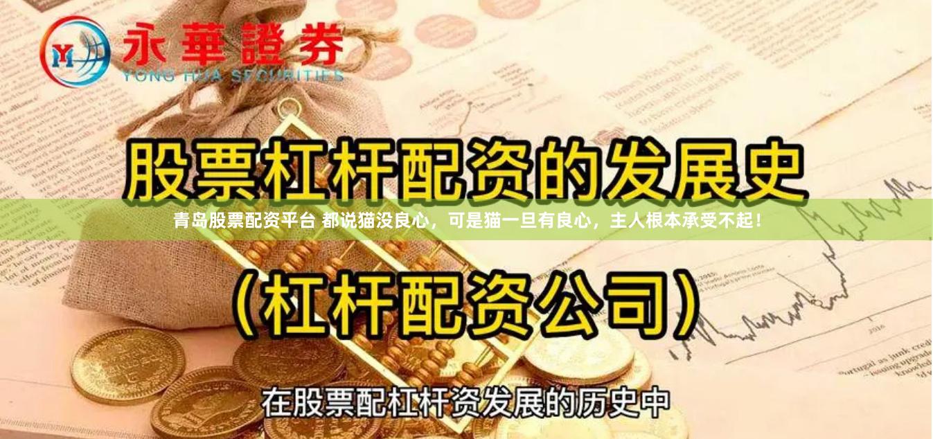 青岛股票配资平台 都说猫没良心，可是猫一旦有良心，主人根本承受不起！