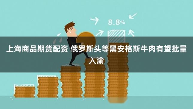 上海商品期货配资 俄罗斯头等黑安格斯牛肉有望批量入渝
