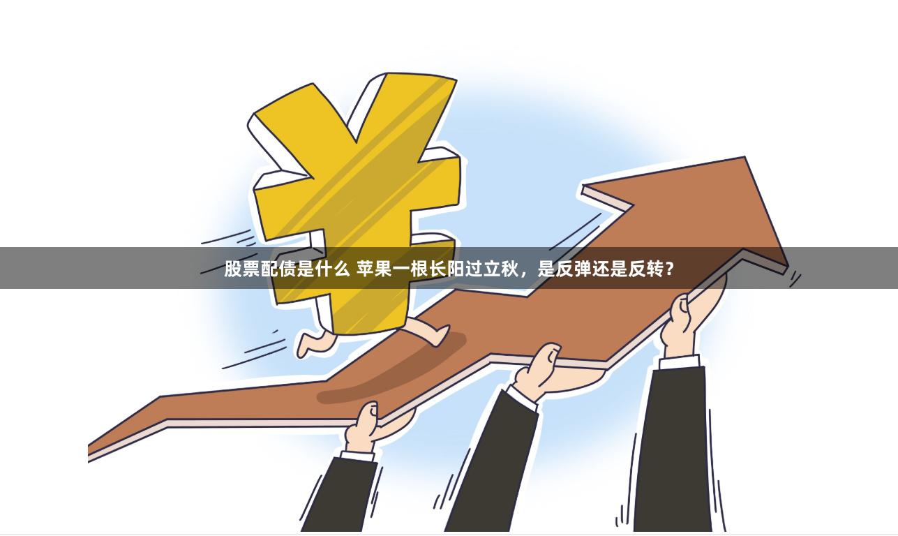 股票配债是什么 苹果一根长阳过立秋，是反弹还是反转？