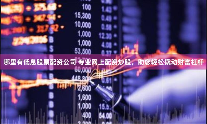 哪里有低息股票配资公司 专业网上配资炒股，助您轻松撬动财富杠杆