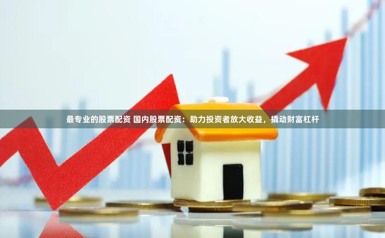 最专业的股票配资 国内股票配资：助力投资者放大收益，撬动财富杠杆